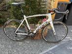 Zannata Z81 EVO Carbon Racefiets, 28 inch, Gebruikt, Carbon, 10 tot 15 versnellingen