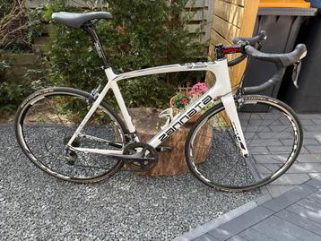 Zannata Z81 EVO Carbon Racefiets beschikbaar voor biedingen