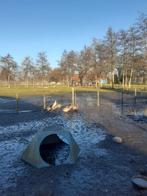 Span kahkycampell eenden, Ophalen of Verzenden, Overige typen