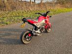 Honda MSX 125 grom 172 cc bigbore - zeer uniek! In top staat, Bedrijf, Overig, 172 cc, 11 kW of minder