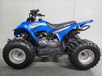 Quad Eton viper 90 cc Automaat, 1 cilinder, 90 cc