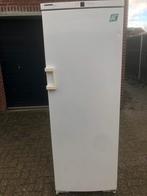 Diepvrieskast LIEBHERR A++, Ophalen, Zo goed als nieuw, 60 tot 90 cm, 160 cm of meer