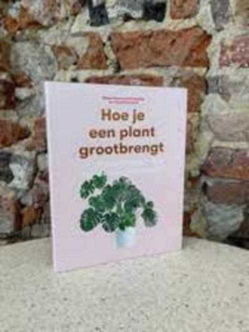 HOE JE EEN PLANT GROOTBRENGT, en er voor zorgt dat ie ook.., Boeken, Wonen en Tuinieren, Zo goed als nieuw, Verzenden