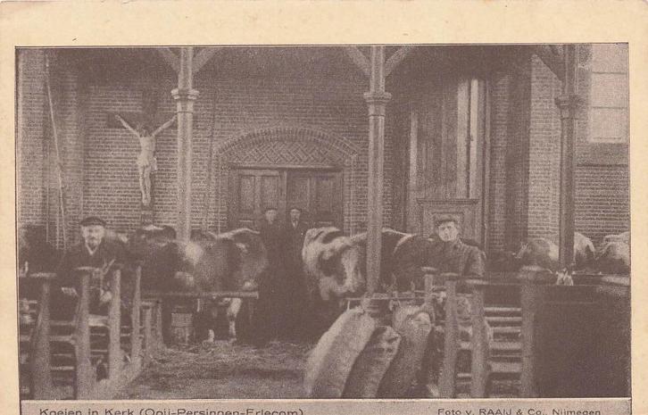 AY873 Ooij Persingen Koeien in kerk watersnood 1916, Verzamelen, Ansichtkaarten | Nederland, Ongelopen, Gelderland, Voor 1920