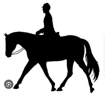 Gezocht Woonruimte met plek voor paarden beschikbaar voor biedingen