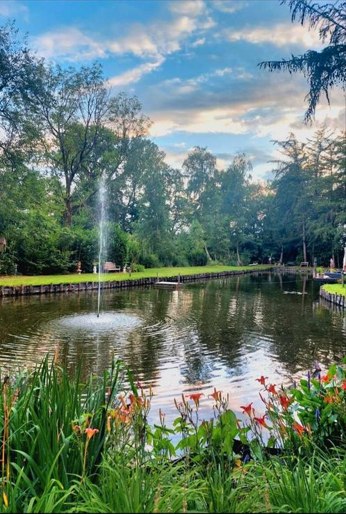 Vissen gezocht voor grote natuurvijver, Dieren en Toebehoren, Vissen | Vijvervissen