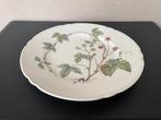 SELTMANN WEIDEN BAVARIA, Waldbeere groot bord / taartbord, Ophalen of Verzenden, Zo goed als nieuw, Bord(en), Overige stijlen