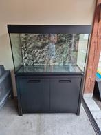 Aquarium te koop, Dieren en Toebehoren, Vis