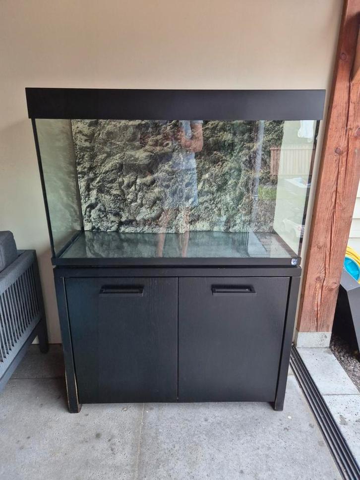 Aquarium te koop, Dieren en Toebehoren, Vissen | Aquariumvissen, Vis