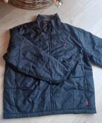 winterjas, Kleding | Heren, Bodywarmers, Ophalen of Verzenden, Zo goed als nieuw, Maat 52/54 (L), Zwart