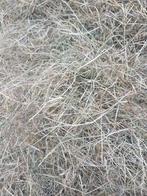 Ronde balen hooi, Ophalen of Verzenden, Vee