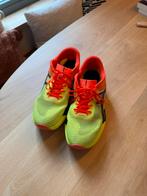Asics Metaspeed Paris maat 45, Sport en Fitness, Loopsport en Atletiek, Ophalen of Verzenden, Zo goed als nieuw, Hardloopschoenen