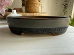Bonsai pot ovaal 23-14-2 cm, Tuin en Terras, Bloempotten, Ophalen of Verzenden, Overige vormen, Aardewerk, Minder dan 25 cm