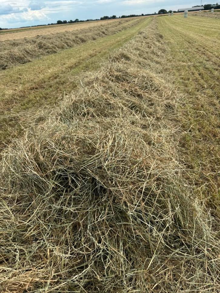 Midibalen paarden hooi,kuil,voordroog, Dieren en Toebehoren, Dierenvoeding, Ophalen