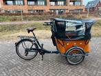 Babboe Curve Elektrische Bakfiets - Inclusief Accessoires, 4 kinderen of meer, Gebruikt, Elektrisch, Ophalen