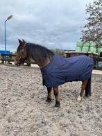 KENTUCKY DEKEN maat 175 / Ograms., Dieren en Toebehoren, Ophalen of Verzenden