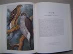 Roofvogels en uilen van Europa, Boeken, Verzenden, Gelezen, Vogels