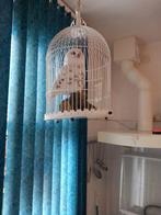 Mooie beeld van uil prijs € 40.00, Ophalen of Verzenden, Zo goed als nieuw, Dier