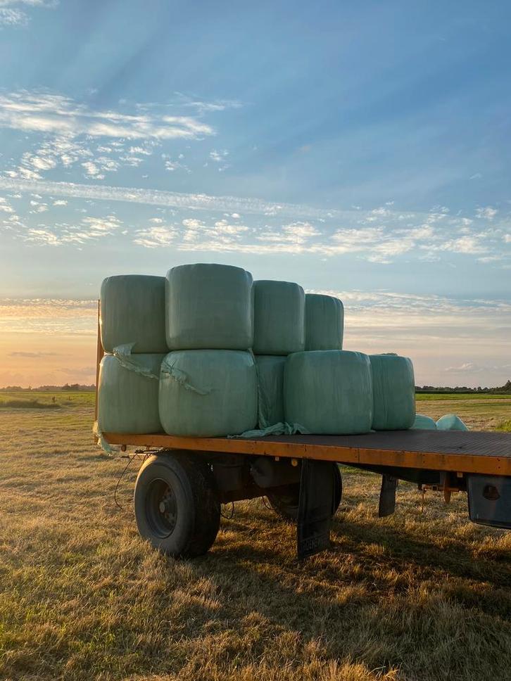 Midi balen voordroog hooi (analyse), Dieren en Toebehoren, Dierenvoeding, Vee, Ophalen