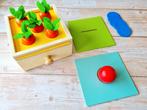 Coinsbox ballbox carrotbox 3in1 Nieuw, Kinderen en Baby's, Speelgoed | Houten speelgoed, Nieuw, Ophalen of Verzenden