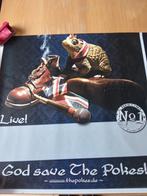 Folk-Punk band The Pokes albumposter God saves The Pokes!, Rechthoekig Staand, Ophalen of Verzenden, Zo goed als nieuw, A1 t/m A3