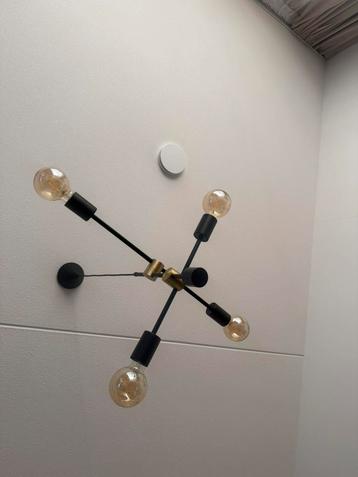 2x luxe hanglampen
