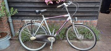 Nette Gazelle Chamonix 💯% OK! H55cm Nexus 8 beschikbaar voor biedingen