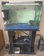 Zwarte Superfish Home 110 met onderkast & tetra luchtpomp, Ophalen, Zo goed als nieuw, Leeg aquarium