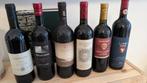 6 x Italiaanse wijn, Chianti Classico, Bolgheri, etc, Nieuw, Rode wijn, Vol, Italië