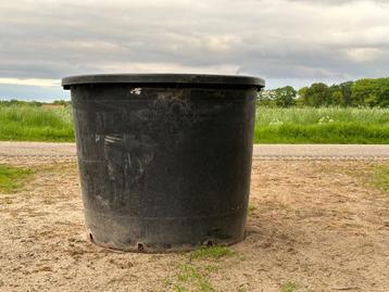 Stevige boomkuip/kweekbak (500 liter) beschikbaar voor biedingen