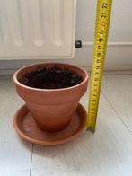 Bloempot, Ophalen, Rond, Binnen, Zo goed als nieuw