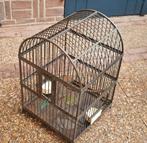 Vogelkooi 50x50x80cm, Dieren en Toebehoren, Vogels | Hokken en Kooien, Ophalen, Zo goed als nieuw, Metaal, Vogelkooi