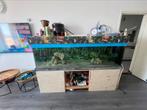 Grote aquarium, Dieren en Toebehoren, Vissen | Aquaria en Toebehoren, Ophalen of Verzenden, Zo goed als nieuw