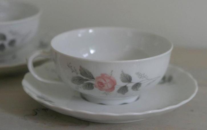 Kop en schotels - seltmann weiden bavaria (regina) - rozen /, Huis en Inrichting, Keuken | Servies, Gebruikt, Kop(pen) en/of Schotel(s)