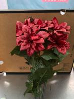 Kerstster bos, Diversen, Ophalen, Nieuw