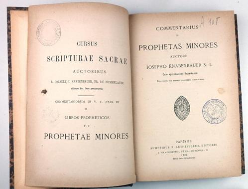 Knabenbauer 1886 Commentarius in Prophetas Minores, Antiek en Kunst, Antiek | Boeken en Bijbels, Ophalen of Verzenden