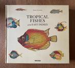 Tropical Fishes of the East Indies - Samuel Fallours, Gelezen, Ophalen of Verzenden, Samuel Fallours, Overige onderwerpen