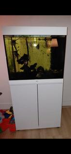 Compleet juwel 200 liter aquarium met eheim pro4+ pompfilter, Dieren en Toebehoren, Vissen | Aquaria en Toebehoren, Ophalen, Zo goed als nieuw