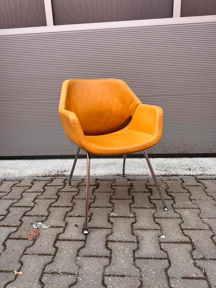 Artifort Gap stoel geel leder, Huis en Inrichting, Stoelen, Zo goed als nieuw, Drie, Leer, Overige kleuren, Ophalen