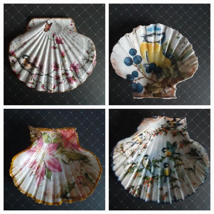 Decoratieve St Jacobsschelpen met Vogelmotieven, Huis en Inrichting, Woonaccessoires | Schalen en Manden, Rond, Ophalen of Verzenden