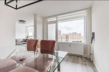 Richmond Eettafel + Suede Stoelen beschikbaar voor biedingen