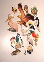 oude poezieplaatjes 14 pakketjes/thema's, Ophalen of Verzenden