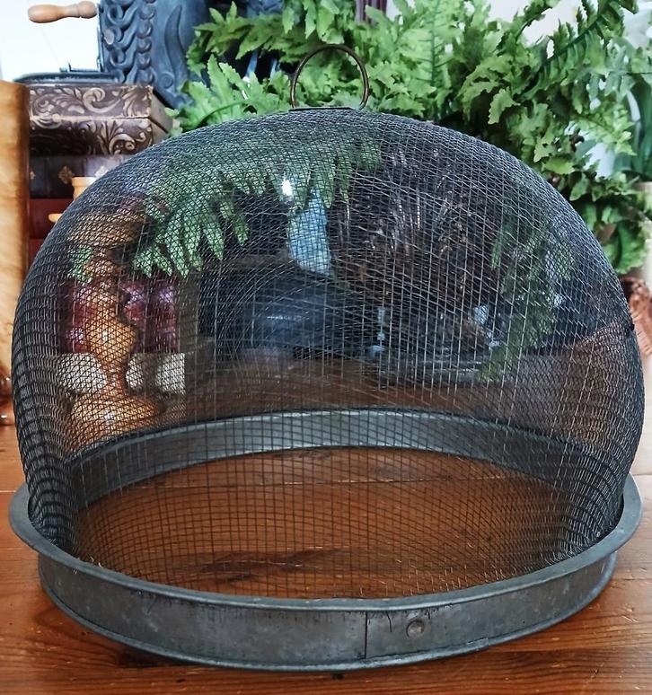 Foodcover cloche gaas gaasstolp vliegenkap gaascloche, Antiek en Kunst, Curiosa en Brocante, Ophalen of Verzenden