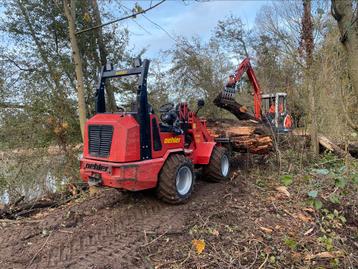 Bomen snoeien/rooien  beschikbaar voor biedingen