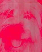 Vind je de Hond in de Pot? een apart Kookboek, Verzenden, Nieuw