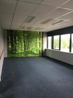 NIEUW! Woonruimte te huur De Omloop, Beilen, Huizen en Kamers, Huizen te huur