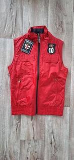 Nieuwe Kingsland ruitetsport bodywarmer S, Nieuw, Ophalen of Verzenden, Dames, Recreatie