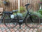 NIEUWE Gazelle Orange C8+!/Bosch Active Plus/Riemaandrijving, Ophalen, Nieuw, Minder dan 47 cm, 50 km per accu of meer