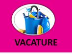 Interieurverzorger/schoonmaker of huishoudelijke gevraagd, Vacatures, Vacatures | Schoonmaak en Facilitaire diensten, Overige vormen