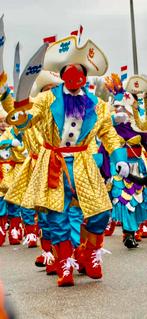 Loopgroep carnaval!, Ophalen of Verzenden, Nieuw, Maat 38/40 (M)